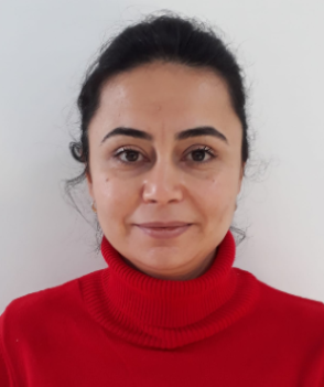 DOÇENT ASLI BALEVİ