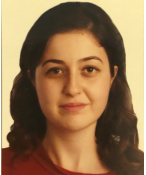 DOÇENT ELİF BALEVİ BATUR