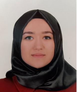 ARAŞTIRMA GÖREVLİSİ MERVE YAMANER