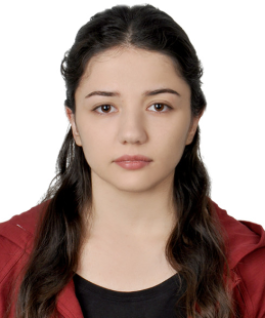 ARAŞTIRMA GÖREVLİSİ BENGİ ÖZDEMİR ÇETİN