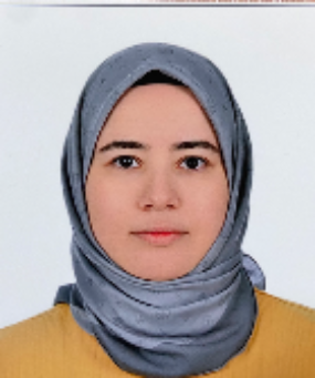 ARAŞTIRMA GÖREVLİSİ ŞEYMA FEYZA IRKIÇATAL