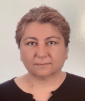 DOKTOR ÖĞRETİM ÜYESİ DENİZ SEVMEN