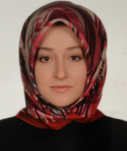 ARAŞTIRMA GÖREVLİSİ YASEMİN TÜRKMENOĞLU