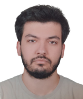 ARAŞTIRMA GÖREVLİSİ ANIL SAYIN