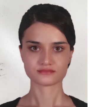 Arş. Gör. GÖKÇE ALTINEL