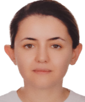 ARAŞTIRMA GÖREVLİSİ KÜBRA ALTINTAŞ