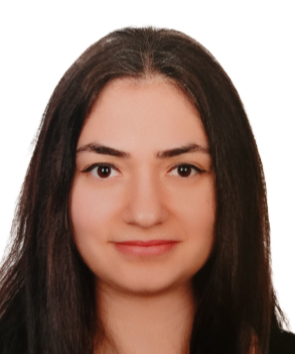 ARAŞTIRMA GÖREVLİSİ ELİF ÇETİN