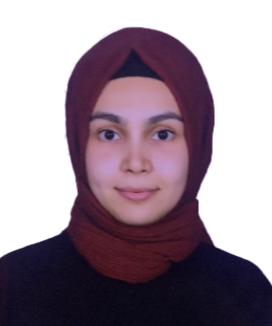 ARAŞTIRMA GÖREVLİSİ KÜBRA DOĞAN