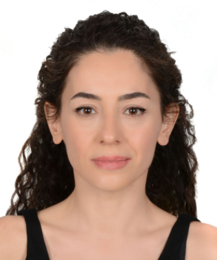 Arş. Gör. SİNEM ŞİMŞEK