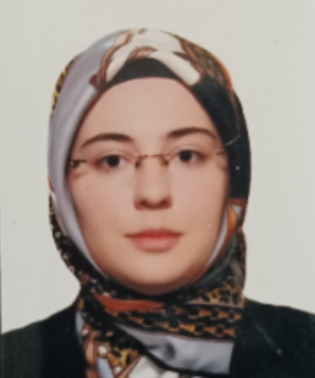 ARAŞTIRMA GÖREVLİSİ KERİME NUR EFLATUN KILINÇ