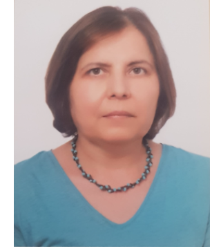 PROFESÖR UMMAHAN ÇETİN KARACA