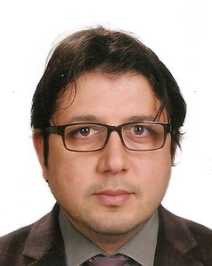 PROFESÖR MUSTAFA İSMAİL DÖNMEZ