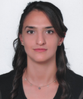 SEVGİ BÖGE