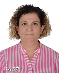 Prof. Dr. SEVİL YILDIZ
