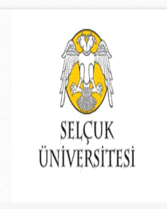 ÖĞRETİM GÖREVLİSİ ARZU KARADAŞ