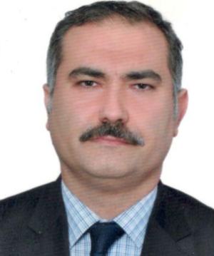 Prof. Dr. UĞUR ARSLAN