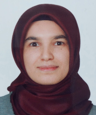 ARAŞTIRMA GÖREVLİSİ SULTAN KİREMİTCİ