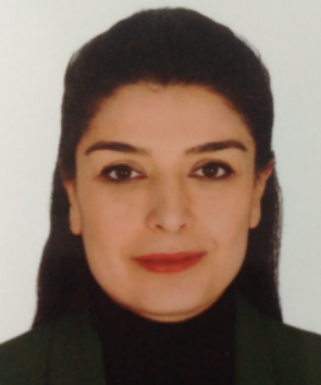 ÖĞRETİM GÖREVLİSİ ZEHRA BETÜL ŞİŞMAN