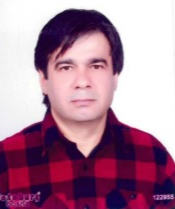 PROFESÖR NURTEKİN ERKMEN