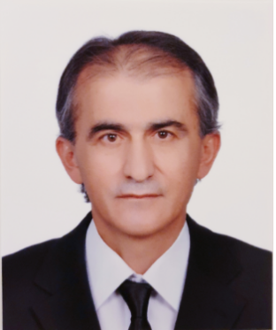 PROFESÖR RECEP AYGÜL