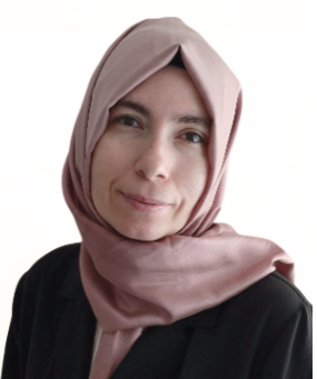 ÖĞRETİM GÖREVLİSİ SATI DOYMAZ HIDIR