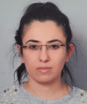 PROFESÖR PERVİN SOYLU