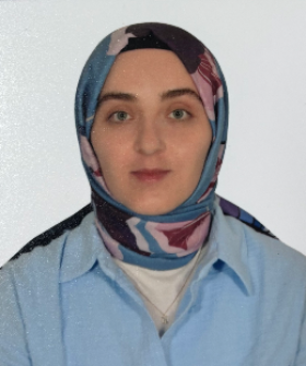 ARAŞTIRMA GÖREVLİSİ KÜBRA KARAKURT