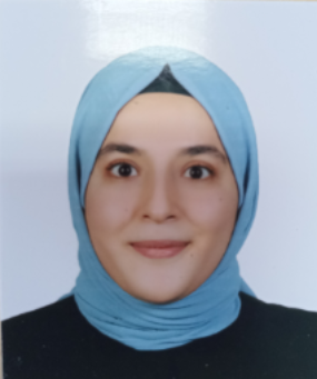 ARAŞTIRMA GÖREVLİSİ NURSEL MAHAN
