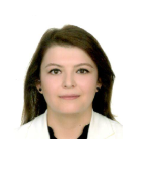 Dr. Öğr. Üyesi BAHAR SAYIN KUL
