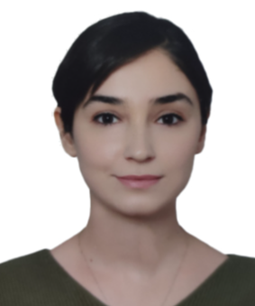 ARAŞTIRMA GÖREVLİSİ NAZLI GAMZE ÖZEL