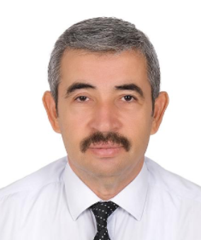 ERSİN GÜLER