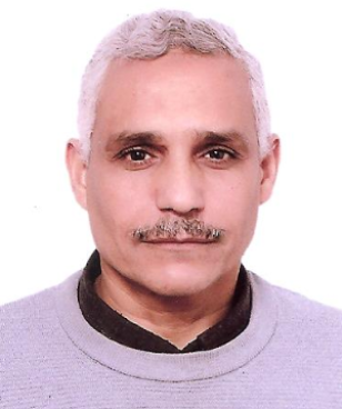 MOHAMED ISMAIL IBRAHIM ISMAIL